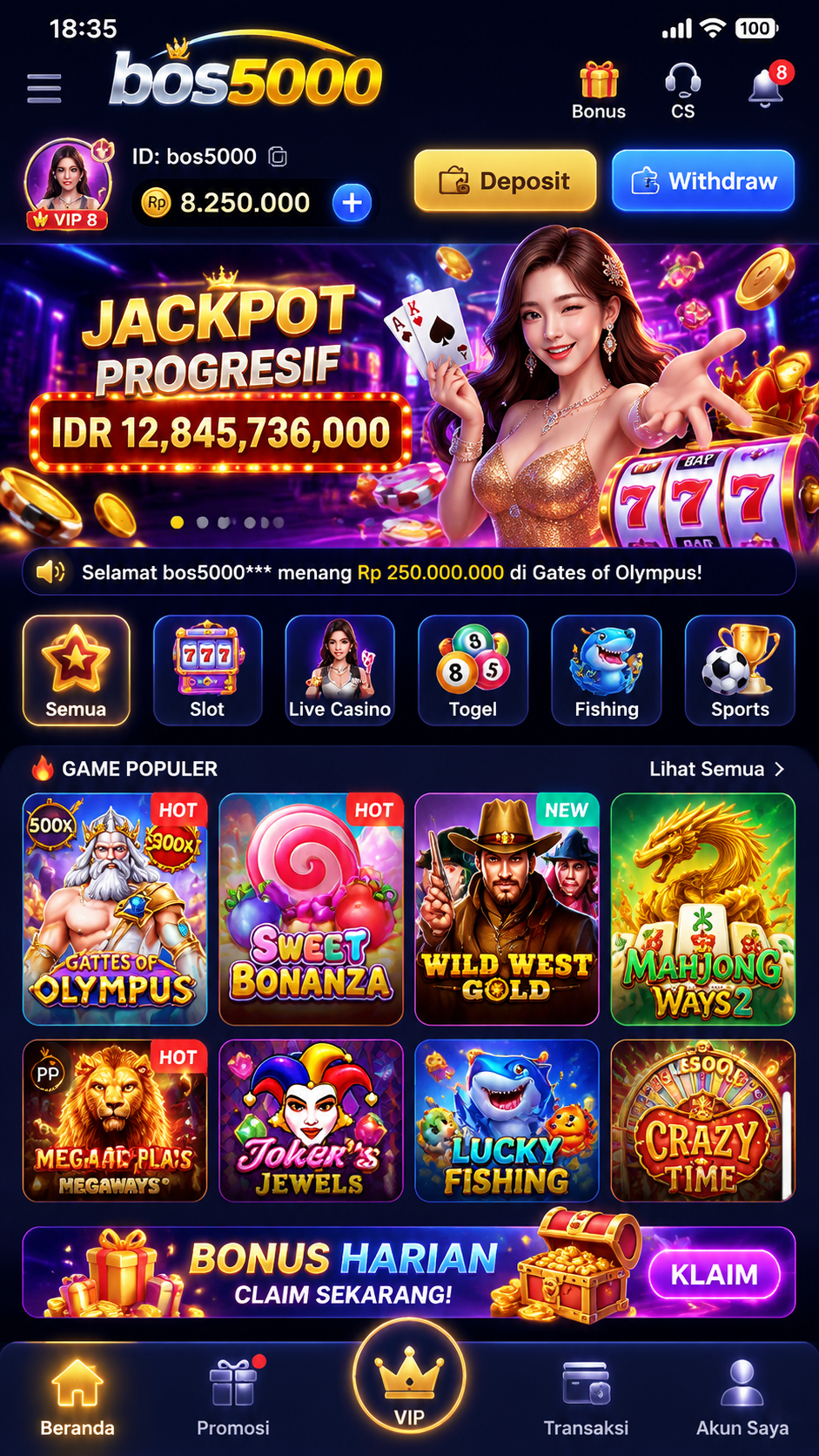 Screenshot 1 bos5000
